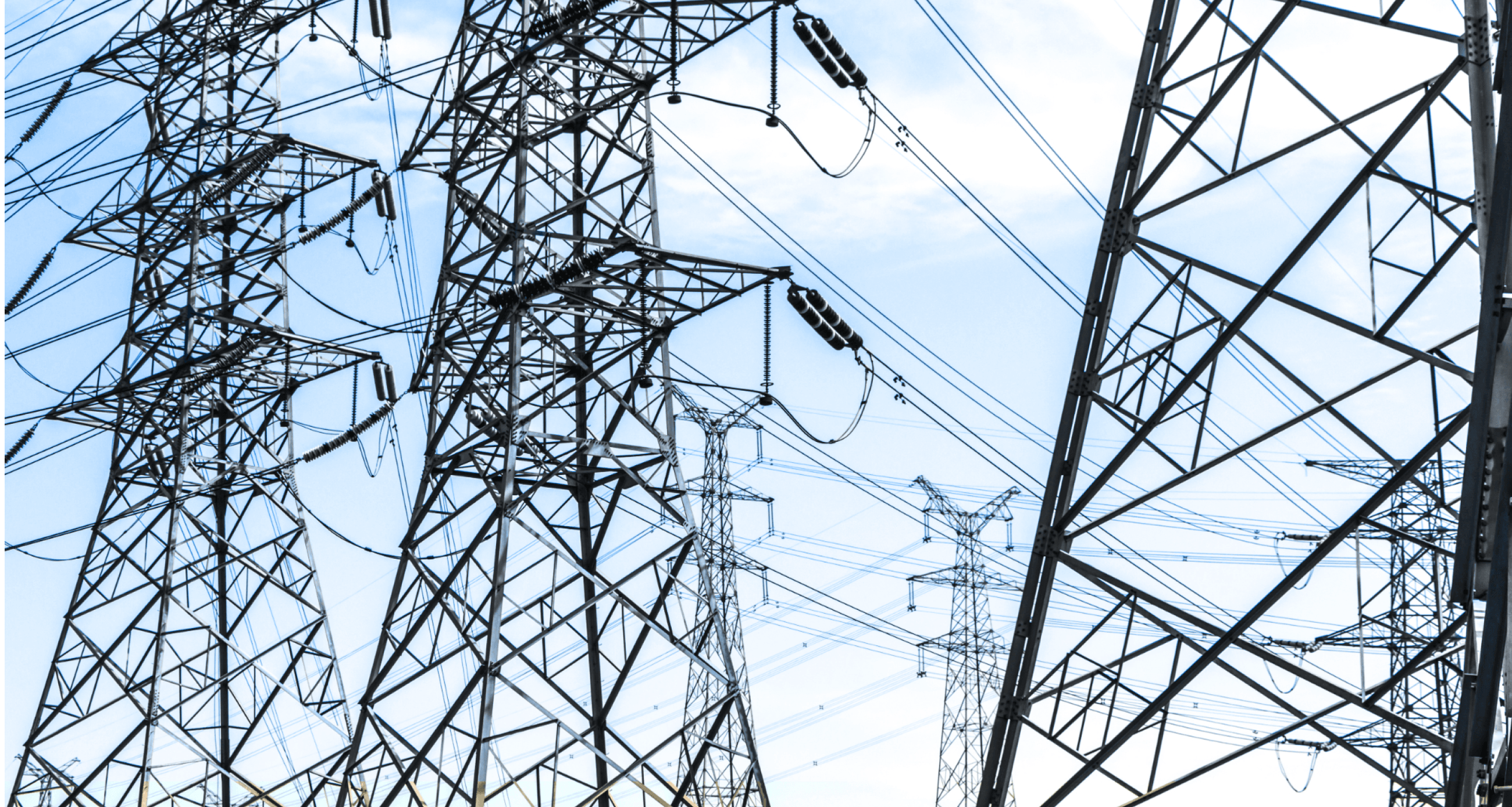 banner-image